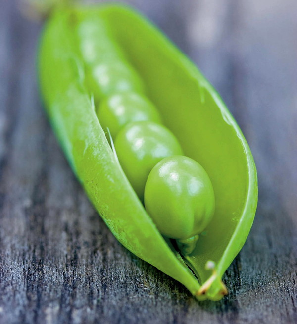 Premium Beauty News An organic pea sprout extract to stimulate hair