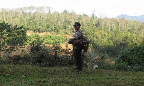 In Laos, Agroforex tries to preserve precious fragrance ingredients