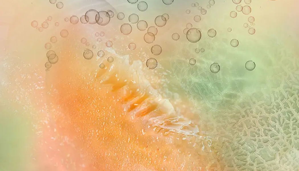 Givaudan launches fragrance precursor for hair care, Scentaurus Aquamelon