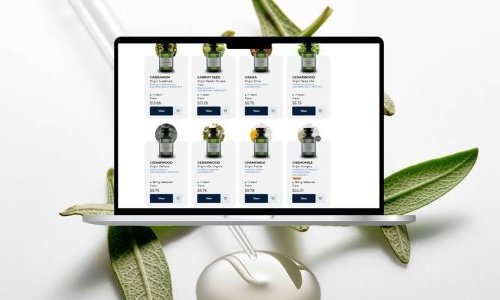 Robertet launches new B2B e-commerce platform in the USA and Canada