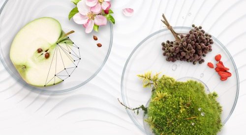 Mibelle Biochemistry s'empare de Mirexus Inc. et élargit son offre