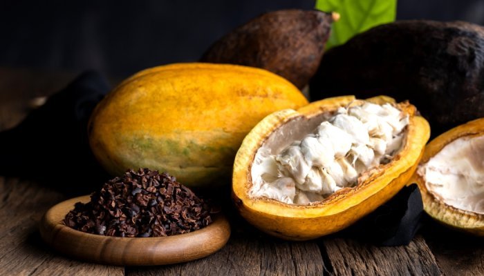 Nutraceutique : Berkem mise sur le pouvoir du cacao sur les émotions