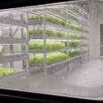 Capsum crée une ferme laboratoire verticale avec la technologie iFarm