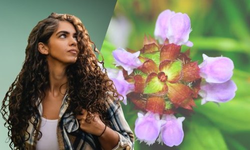 BASF Personal Care debuts Ameriflor Calm to make sensitive skin more resilient