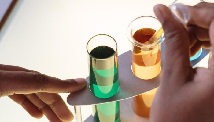 Seppic strengthens its position in the nutricosmetics market with EPI France