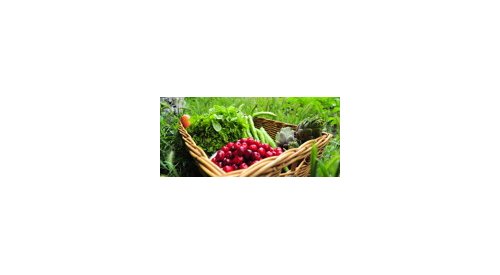 ID bio révèle les beautés du terroir français