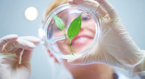 DNA & Cosmetics to promote the traceability of natural resources