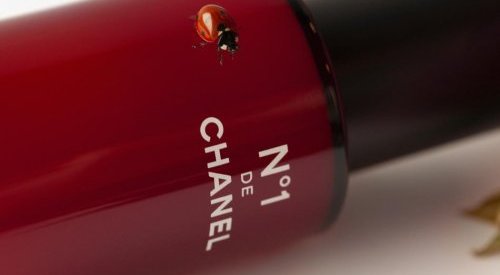 Chanel lance N°1, une ligne de beauté qui combine naturalité et durabilité