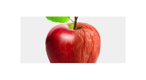 Le CED fait sa rentrée sur le vieillissement cutané