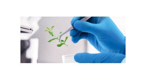 Croda completes US$170 million investment in renewable manufacturing in North America