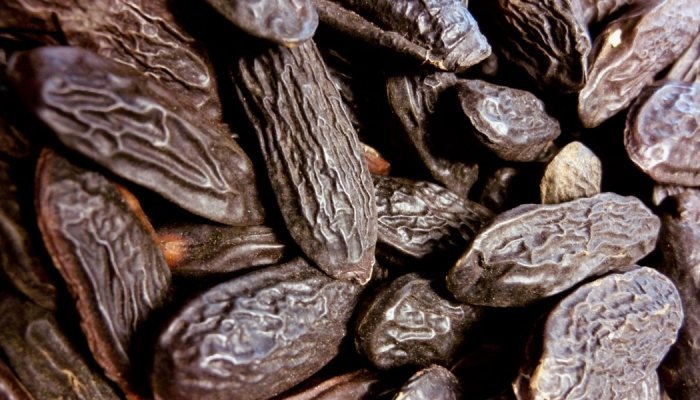 Parfums : Tonka Bean CO2 Absolute complète l'offre écoresponsable de LMR