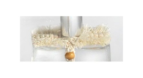 SERAM: A new collection of natural accessories