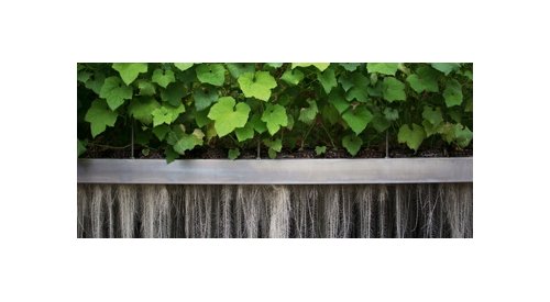 Clariant takes minority share in Plant Advanced Technologies and signs strategic partnership agreement