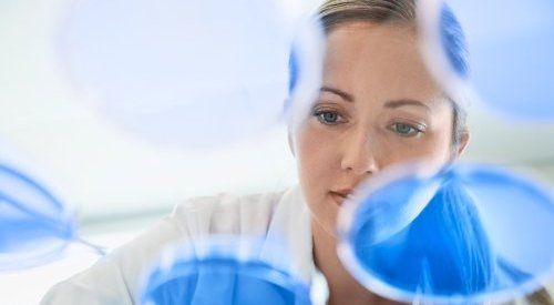 Lesaffre expands its fermentation expertise into cosmetics