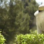 Dans le cadre de sa stratégie de développement durable, Parfums Christian Dior place la sauvegarde des fleurs, et de leur diversité, au coeur de sa feuille de route (Photo : Parfums Christian Dior)