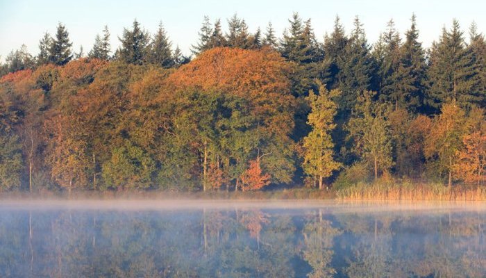 Croda et Anomera collaborent pour créer des ingrédients cosmétiques innovants