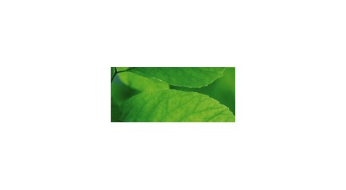 Five COSMOS-certified ingredients for Silab