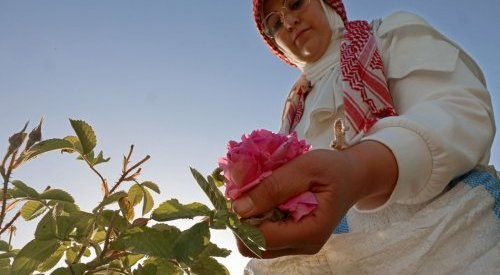 Fragrances: A Lebanese village at the heart of the Damask rose tradition