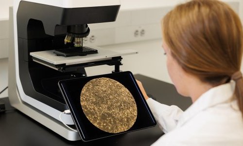 Debut cible l'hyperpigmentation avec un actif biotech à faible concentration