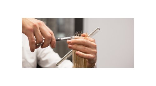 Salons de coiffure : Les Français sensibles aux actions en faveur du développement durable
