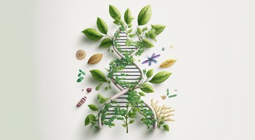 ADN & Cosmétique invite à se mobiliser pour la traçabilité du végétal