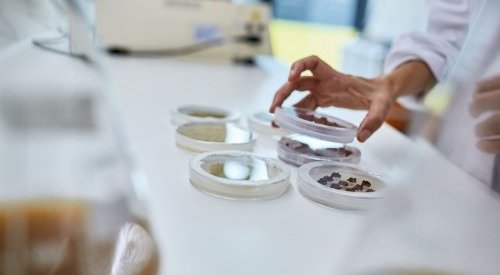 Robertet s'associe à Aethera pour muscler son offre d'actifs cosmétiques