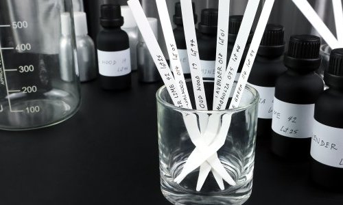 Mane acquiert Chemosensoryx Biosciences pour booster son innovation sensorielle