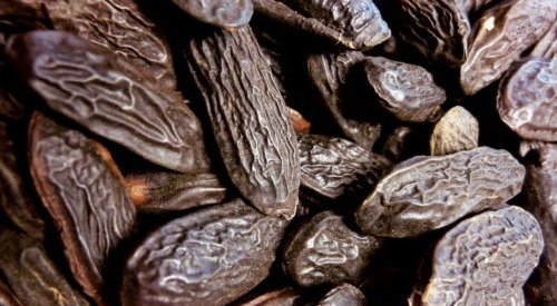 LMR adds Tonka Bean CO2 Absolute to its line of conscious perfume ingredients