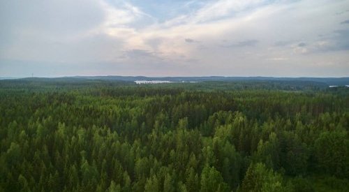 Metsä Board strengthens its strategic 2030 sustainability targets