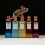 Loewe ouvre à Séoul sa toute première boutique dédiée au parfum (Photo : Loewe Perfumes)