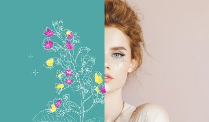 Gattefossé lance une version, sans conservateur de Gatuline Link n Lift