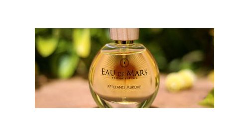 The Aromaperfumery of Aimée de Mars combines olfaction and emotion