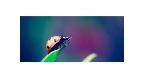 ERI 360 °: A label to assess the sustainability of cosmetic ingredients