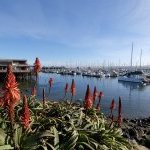 La prochaine édition du World Perfumery Congress (WPC) 2026 se tiendra du 23 au 25 juin 2026 au Monterey Conference Center, en Californie (Photo : courtesy of ASP)