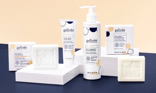 Gallinée expands tenfold, fast-tracks European growth