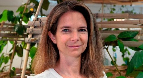 Céline Damour nommée Directrice Marque Internationale, Yves Rocher