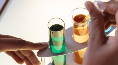 Seppic strengthens its position in the nutricosmetics market with EPI France