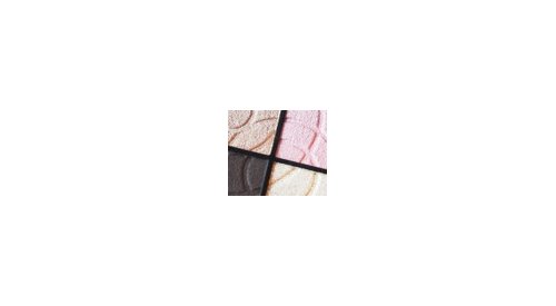 Formulation: Nippon Shikizai invests in France