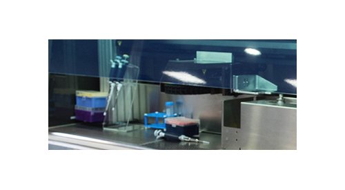 L'Oréal et Poietis s'associent pour la bio-impression de cheveux