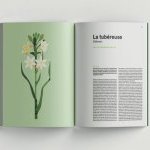 De la plante à l'essence. Un tour du monde des matières à parfum.