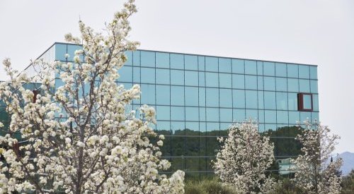 Eurofragance's sales increased by more than 20% in 2023