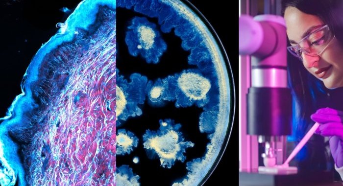 L'Oréal and the Pasteur Institute join forces on skin research