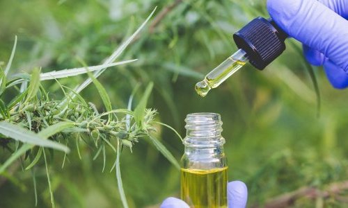 Cosm'Agri 2026 : L'industrie cosmétique au chevet de l'eau et des sols ?