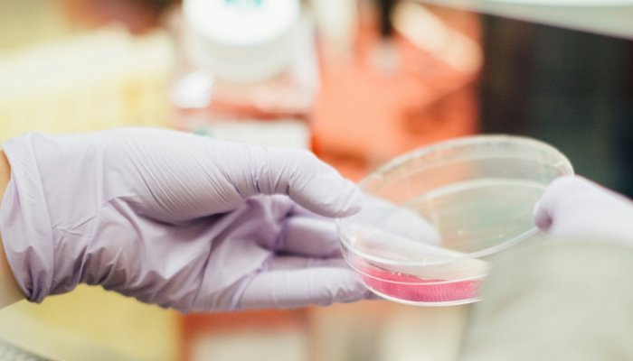 SGS se renforce dans les tests cosmétiques avec l'acquisition d'IEC