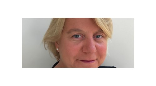 Mercedes Osti named sales director at Groupe Texen