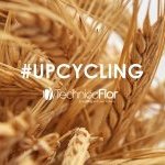 Les ingrédients upcyclés et durables de TechnicoFlor sont au coeur de la formation (Photo : TechnicoFlor)