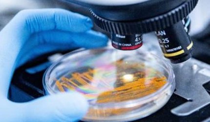 Apoena Biocare showcases exclusive microbial bank at in-cosmetics 2026