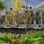 Un jardin de plantes à parfum sur le toit de Paris Expo Porte de Versailles (Photo : Kim Redler / Viparis ©)