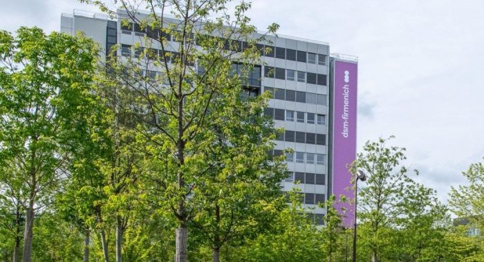 DSM-Firmenich : croissance de 5% au 1er semestre 2026, tirée par les parfums