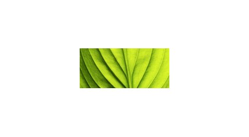 Global market for organic personal care products to reach 13.2 billion US dollars by 2018